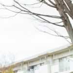 表紙巻頭は乃木坂46小川彩！『B.L.T.graduation2026中学・高校卒業』発売決定 – 画像一覧（3/6） – THE FIRST TIMES