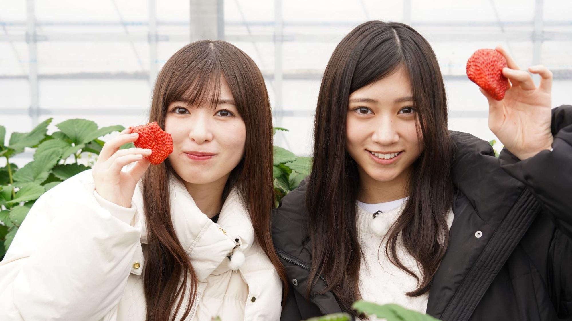 小川彩「もう全部はじめてじゃん」川端晃菜のピュアすぎる“人生初”に密着!『乃木坂、逃避行。SE… | Lemino ニュース first view