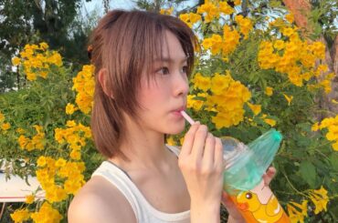 タイナウ！ Thainow