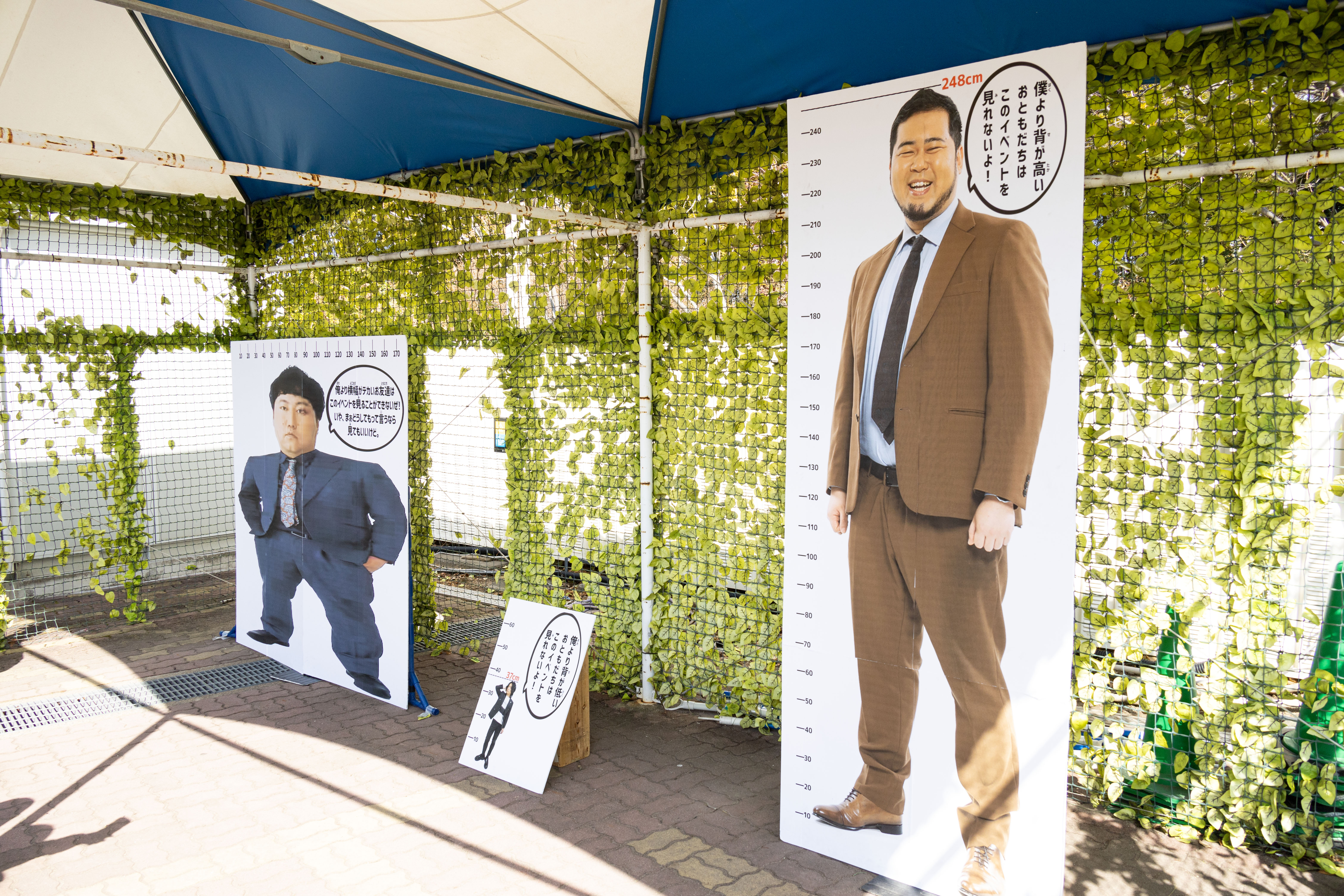 出典: FANY マガジン