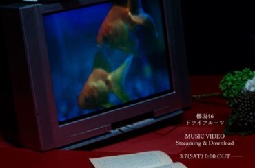 櫻坂46、BACKSメンバーによる新曲「ドライフルーツ」MV公開＆先行配信決定