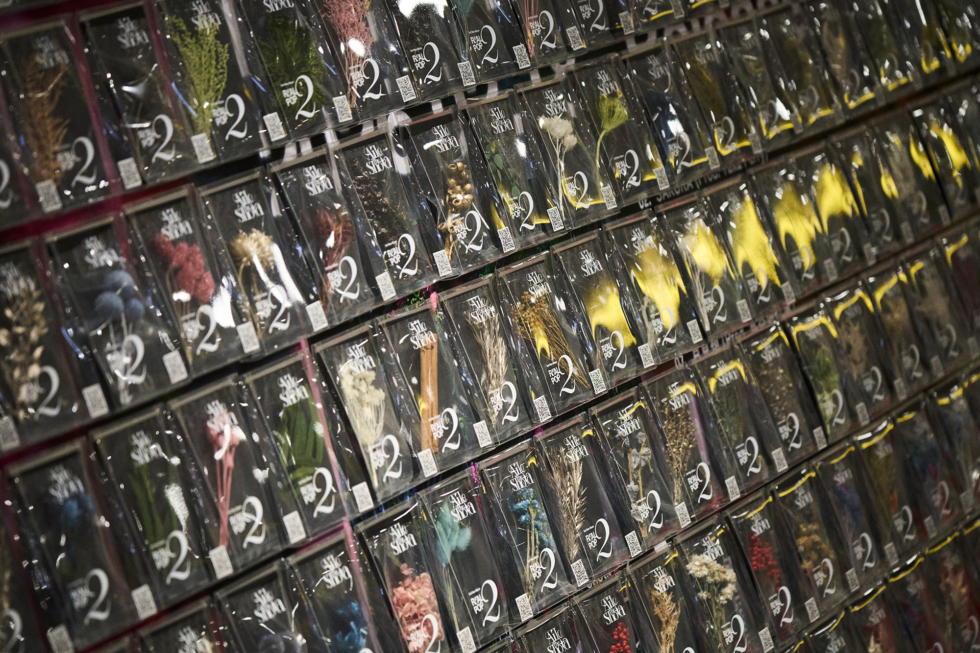 【COLUMN & REPORT】「Aile The Shota」はいま、どう語られるのか ── 開花宣言の目撃者 ailetheshota_473018_02re