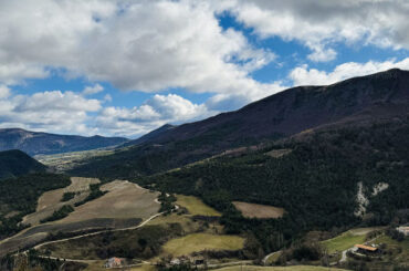 TERRA PROVENCE、オーガニックフレグランスの新潮流を創出 - 化粧品業界人必読！週刊粧業オンライン