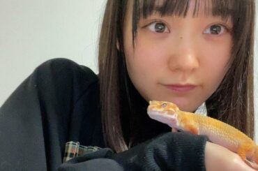 櫻坂46増本綺良が語り尽くす爬虫類愛。ヤモリのペット「モリヤ」「アカネ」との幸せな暮らし「表情も触り心地も人間っぽくて好き」 | 集英社オンライン | ニュースを本気で噛み砕け