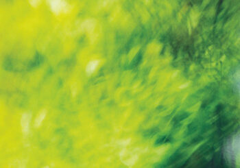 みどり, 森ゆに, AOKI,hayato & 田辺玄、「三つの春」を配信開始｜THE MAGAZINE