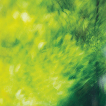 みどり, 森ゆに, AOKI,hayato & 田辺玄、「三つの春」を配信開始|THE MAGAZINE みどり, 森ゆに, AOKI,hayato & 田辺玄、「三つの春」を配信開始|THE MAGAZINE