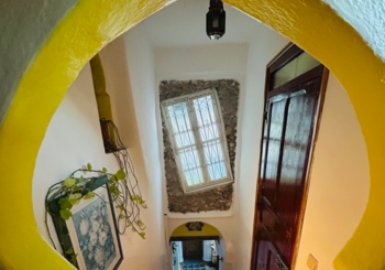 The Compassions、「Blind World (Dar Meziana)」を配信開始｜THE MAGAZINE