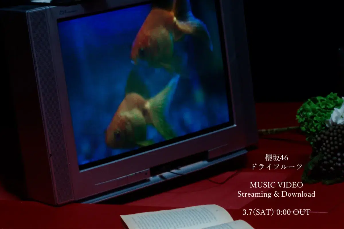 櫻坂46 BACKSメンバーによる新曲『ドライフルーツ』のMUSIC VIDEO公開と先行配信が決定！