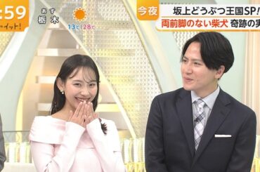 【画像】今日の石渡花菜さん　4.10