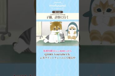 【公式】アニメ『mofusand』第13話「子猫、診察に行く」