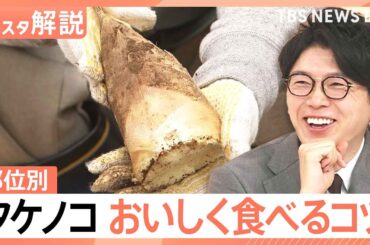 今年はタケノコ「表年」で豊作？ えぐみを抑える選び方と“米ぬか不要”のアク抜き術【Nスタ解説】｜TBS NEWS DIG
