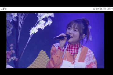 水瀬いのり　いのりまち　2026 0314 横浜BUNTAI 夜の部