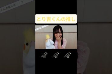 【中川智尋】とり吉くんの推しは？【櫻坂46四期生】