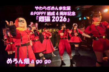 【26 3 28_2】めろん畑a go go「やわらぎめんま生誕＆POPPY結成4周年記念『雌猫2026』」