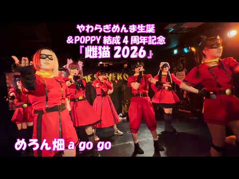 【26 3 28_2】めろん畑a go go「やわらぎめんま生誕&POPPY結成4周年記念『雌猫2026』」 【26 3 28_2】めろん畑a go go「やわらぎめんま生誕&POPPY結成4周年記念『雌猫2026』」