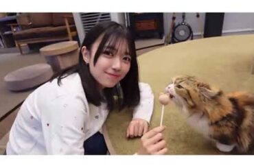 平尾帆夏と猫ちゃん