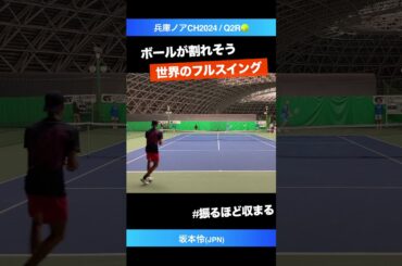 #ボールが真っ二つ #侍のフォア【兵庫ノアCH2024/Q2R】坂本怜(JPN) #shorts #テニス #tennis