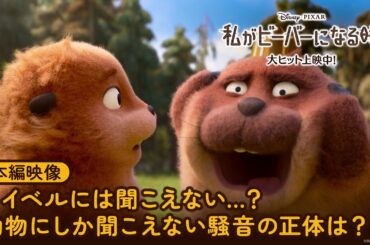 「私がビーバーになる時」本編映像｜メイベルには聞こえない…？動物にしか聞こえない騒音の正体は？｜大ヒット上映中！