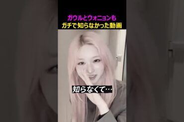 ガウルとウォニョンもガチで知らなかった動画？
