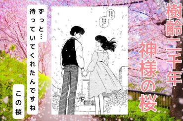 めぞん一刻『あれから──響子さんが出会った二千年桜』あなたにも見てほしい桜があります ― 島本須美×神代桜