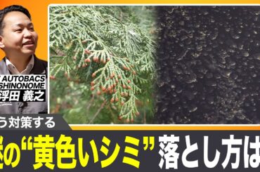 【放置NG】花粉でボディが痛む!?やってはいけない洗車をプロが警告【くるテレ特集】|くるまのニュースTV