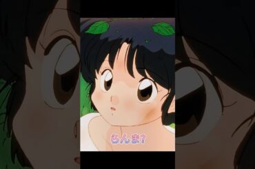 ついに和解した Finally reconciled (らんま1/2)(Ranma12)