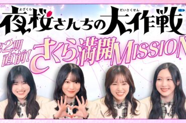 TVアニメ「夜桜さんちの大作戦」第2期直前！さくら満開MISSION