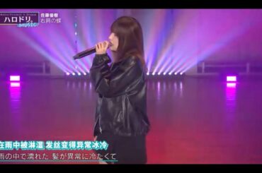 【佐藤優樹】『右肩の蝶』カバーver.【ハロドリ】