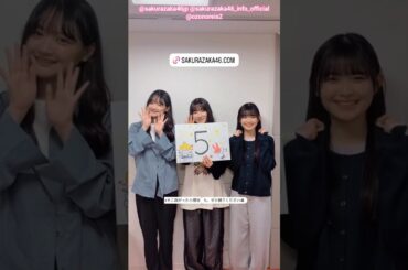 目黒陽色 大園玲 山川宇衣 4月11日12日『櫻坂46 5th YEAR ANNIVERSARY LIVE』開催！