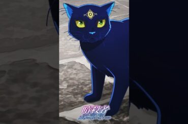 聞き込み…?『暗殺者である俺のステータスが勇者よりも明らかに強いのだが』 第10話「暗殺者は川面を見つめる」より② ｜ラスティ（CV #諸星すみれ）夜（CV #小林沙苗）#ステつよショート