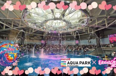 【完全版】マクセル アクアパーク品川×ももいろクローバーZ　スペシャルドルフィンパフォーマンス「Splash!!!! イルカとバシャ騒ぎ」【4K】