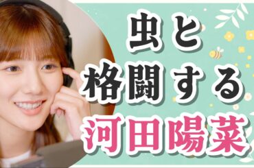 虫と格闘する河田陽菜【文字起こし】