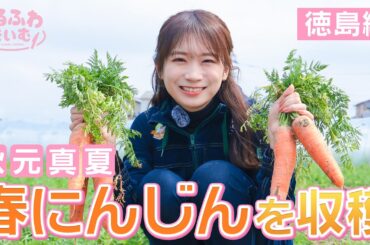 秋元真夏２度目の徳島編！「春にんじん」その甘さの秘密に迫ります！青空キッチンも🥕