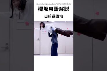 【櫻坂用語解説】山﨑遊園地