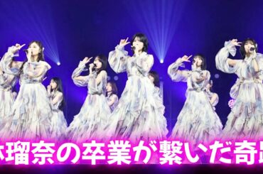 乃木坂46が日大入学式に電撃登場！武道館1.8万人が絶叫したサプライズの真相 #乃木坂46