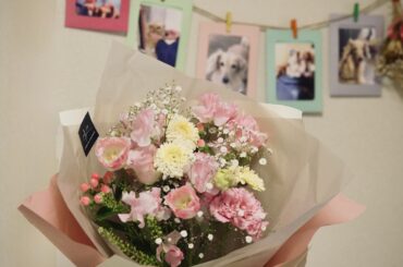 門出🌸詩：Nichika𖤐Track：Yunomi