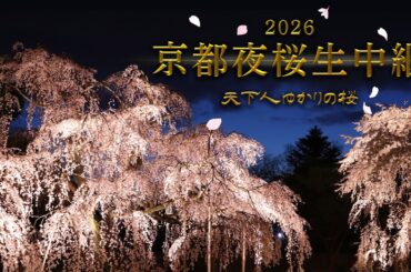 【KBS京都/BS11】京都夜桜生中継2026～天下人ゆかりの桜～／出演：近藤芳正、木下昌輝、髙橋　拓児、海平和（2026年4月1日放送）