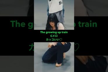 櫻坂46 The growing up trainダンプラ #推しカメ #Sakurazaka46 #村井優 #山﨑天 #大園玲