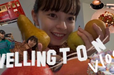 【Moe】#12 ニュージーランド北島・首都・ウェリントンに行ってきたよ！🇳🇿