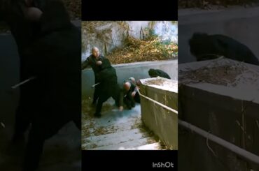 『ヘルドッグス』 | #岡田准一 #坂口健太郎 #松岡茉優 #映画 #映画紹介 #映画鑑賞 #ショート #ドラマ #Netflix #shorts