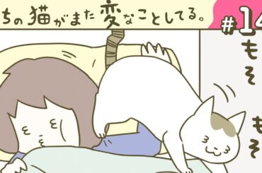 【漫画】おいでなすった/薄着の季節/他（CV:悠木碧、小市眞琴、森永千才、平川嵐）｜『うちの猫がまた変なことしてる。』（14）【マンガ動画】ボイスコミック