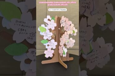 櫻坂46からBuddiesのみなさんへ♪【Buddiesいつもありがとうの木】本日4月11日・12日『5th YEAR ANNIVERSARY LIVE』開催！