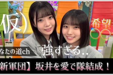 既存勢力を脅かす新軍団『坂井を愛で隊(仮)』が結成間近！？【日向坂で会いましょう』