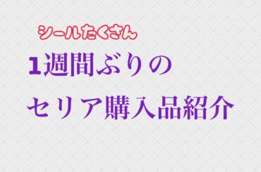 1週間ぶりのセリア購入品紹介