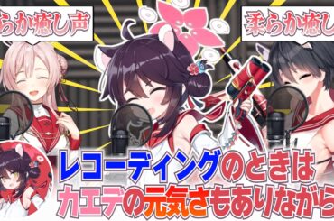 【ブルアカ】カエデの元気さが邪魔しないように気を付けた加藤英美里さん(カエデ役)