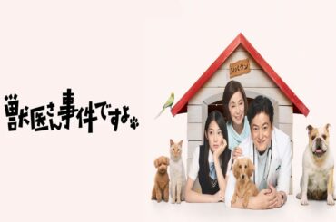 ドラマ『獣医さん、事件ですよ』1話～2話 💥⚡🔥Is There a Vet in the House? (2014) Full HD #1080p