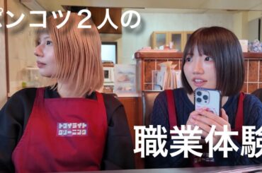 変な職場で働く変な人