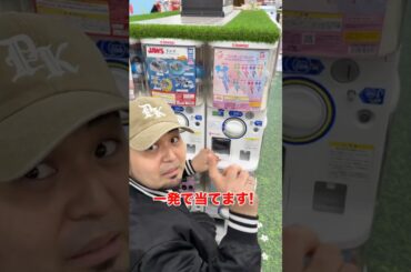 モモりん当るまでTWICEガチャ！#twice #モモ