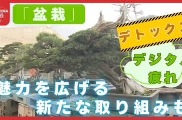 「盆栽」の魅力！ デジタルデトックスに自然と向き合う時間　魅力を広げる新しい取り組みも　広島 (2026/04/13 21:03)