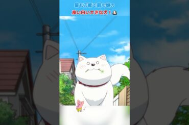 万能で頭良い白い大犬！/アホガール/ばかびがく/悠木碧 / 杉田智和 / 原田彩枫 /shorts/movie